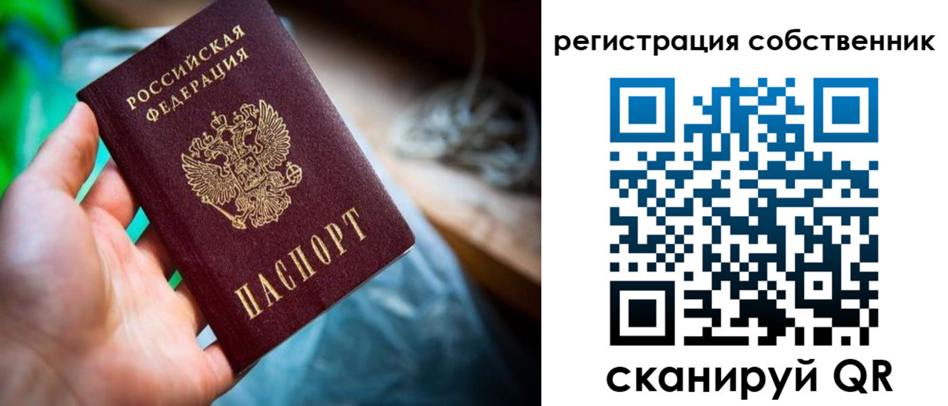 прописка гарантия в Волгодонске